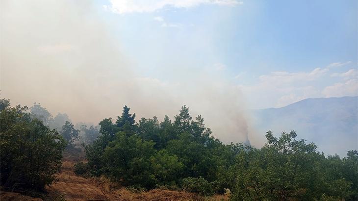 Malatya'da orman yangını! Müdahale başladı