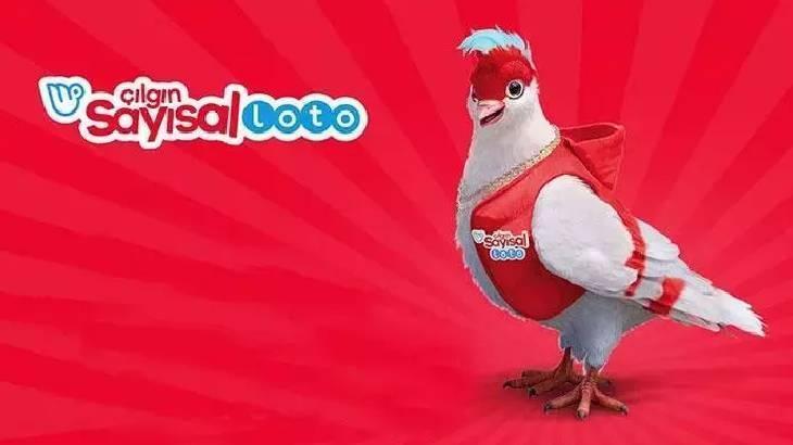 ÇILGIN SAYISAL LOTO NASIL OYNANIR