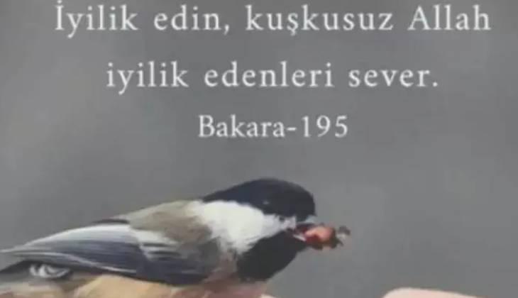CUMA MESAJLARI YEPYENİ 2026 🤲 Kısa, farklı, ayetli, dualı, resimli Cuma Mesajları ve sözleri: Eşe, dosta göndermelik; Instagram, Facebook, Whatsapp için Cuma mesajları