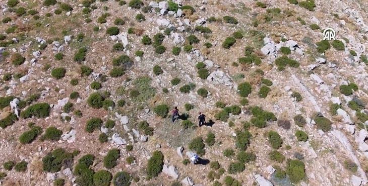 Dünyada sadece 300 metrekarede Türkiyede araçların giremediği bölgede korunan hazine