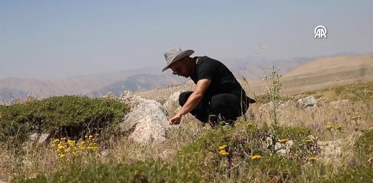 Dünyada sadece 300 metrekarede Türkiyede araçların giremediği bölgede korunan hazine