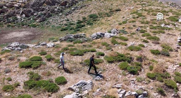Dünyada sadece 300 metrekarede Türkiyede araçların giremediği bölgede korunan hazine