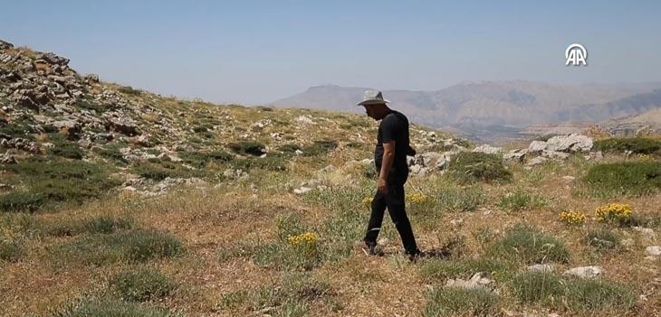 Dünyada sadece 300 metrekarede Türkiyede araçların giremediği bölgede korunan hazine