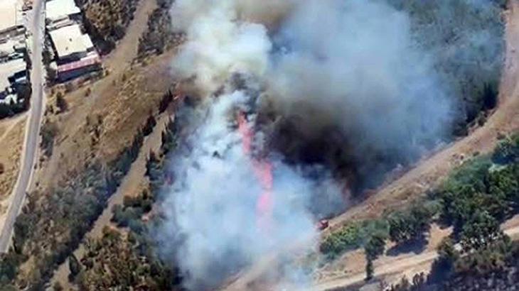 İzmir'de otluk alanda çıkan yangın ormana sıçradı