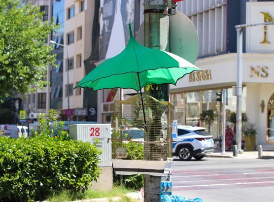 İzmir sokaklarının yeni fenomeni! Şakir'i kaybedince Shakira için yeni çözüm buldu