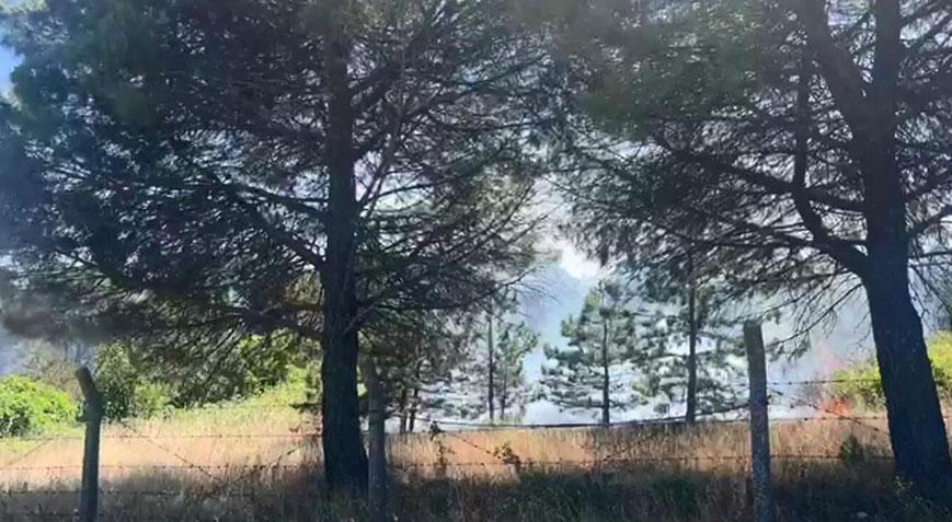İstanbul'da korkutan yangın! Alevler ormanlık alana sıçradı