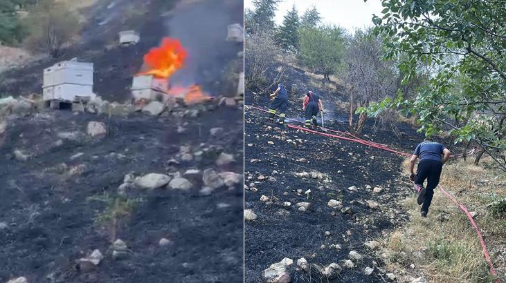 İtfaiyecilere arılar saldırdı! Isparta'daki yangında ekiplerin zorlu mücadelesi