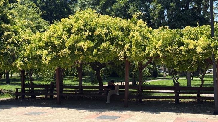 Adanada hissedilen sıcaklık çıldırttı: Direksiyonu eldivenle tutuyoruz
