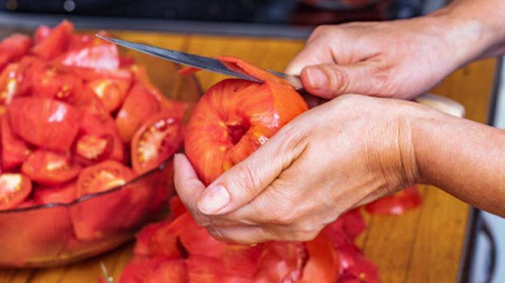 İlk hasatta 20 ton domates toplandı