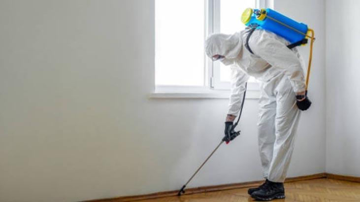 Milyonlarca hamam böceğiyle aynı yerde yaşadı, zengin oldu Kazancı minimum 23 milyon