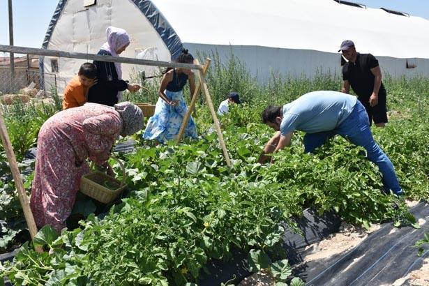 Türkiyede görülmemiş tatil modeli Bu otelde konaklama bedava: Tek bir şartları var
