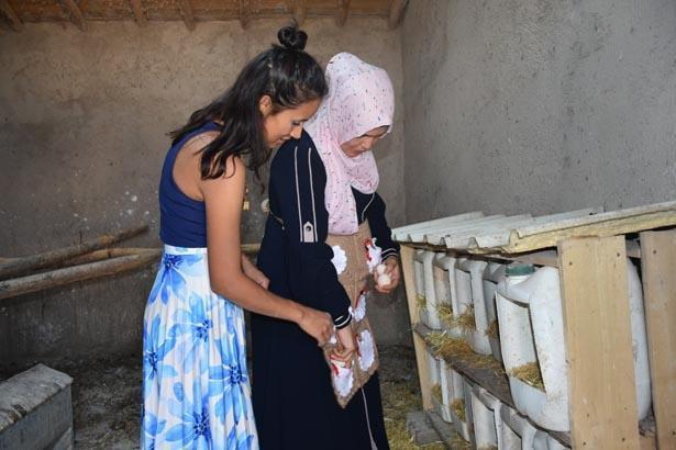 Türkiyede görülmemiş tatil modeli Bu otelde konaklama bedava: Tek bir şartları var