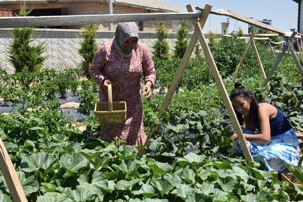 Türkiyede görülmemiş tatil modeli Bu otelde konaklama bedava: Tek bir şartları var