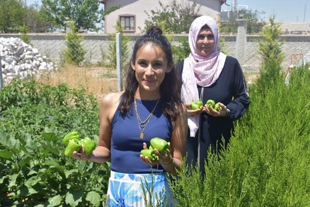 Türkiyede görülmemiş tatil modeli Bu otelde konaklama bedava: Tek bir şartları var