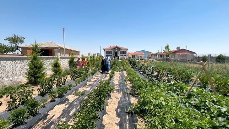 Türkiyede görülmemiş tatil modeli Bu otelde konaklama bedava: Tek bir şartları var