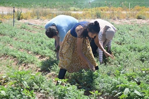 Türkiyede görülmemiş tatil modeli Bu otelde konaklama bedava: Tek bir şartları var