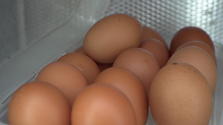 Yumurta kartonu gereksiz değilmiş Sivri kısmı aşağıda gelecek şekilde durmalı