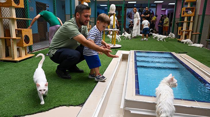 Vandaki Kedi Villası yıl başından bu yana yaklaşık 80 bin ziyaretçi ağırladı