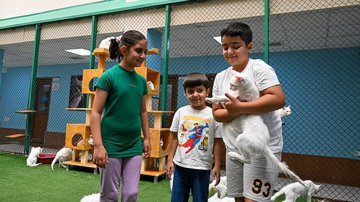 Vandaki Kedi Villası yıl başından bu yana yaklaşık 80 bin ziyaretçi ağırladı