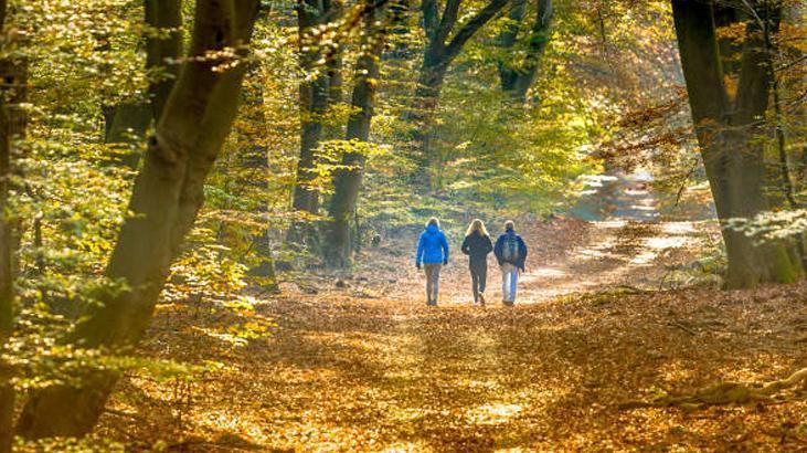 Tüm vücudu çalıştıran yürüyüş Hızlanmaya gerek yok, Nordic walking nedir