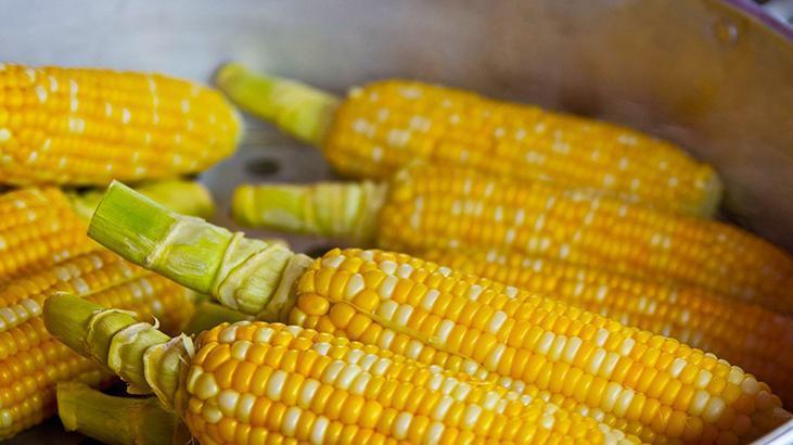 Yazdan mısır saklamanın incelikleri Süt yapabilir, turşusunu kurabilirsiniz