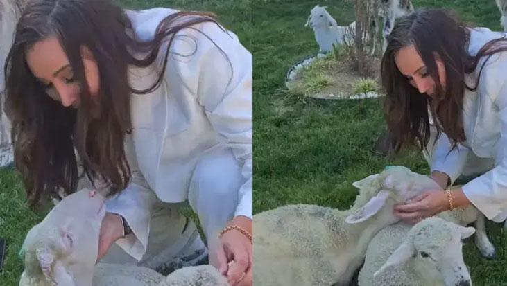 Asena’nın 12 yıldır dinmeyen acısı Seni ömrümden sonra bile seveceğim