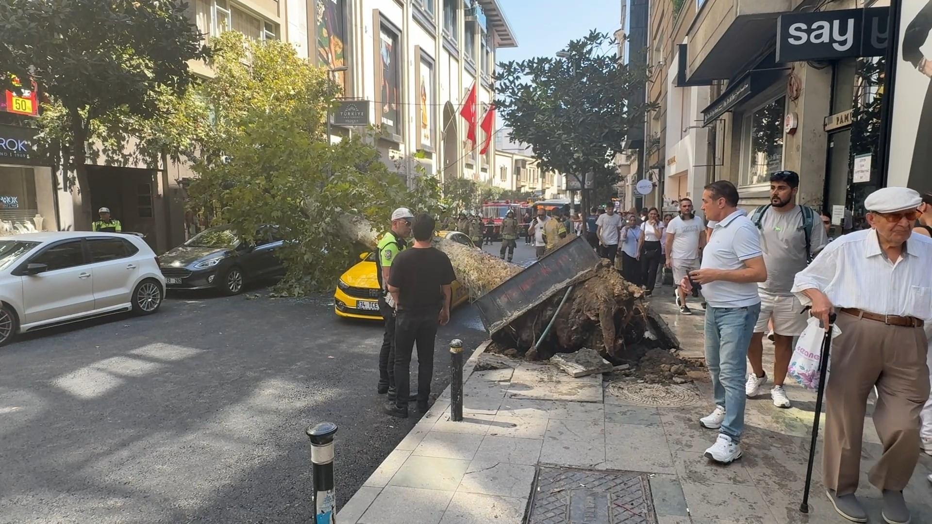 Şişli’de ağaç devrildi; yol trafiğe kapandı -2 / Ek görüntü - İstanbul Haberleri