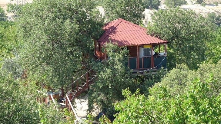 AĞACIN DALLARI ODALARIN İÇERİSİNDEN GEÇİYOR