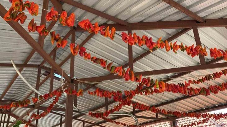 Salçalık domatesler imece usulü hazırlanıyor