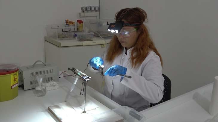 Karadenizde bir ilk 12 akreple başladı: Köyümüzde hayata geçirdik