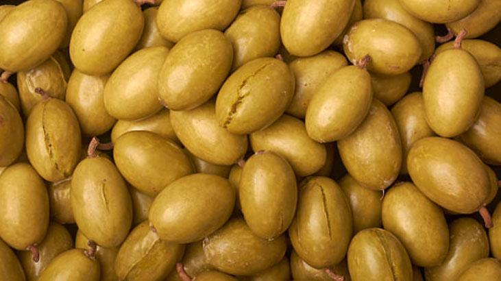 Zeytinin acısını alan eski usul yöntem İzmirli kadınlar yıllardır böyle hazırlıyor