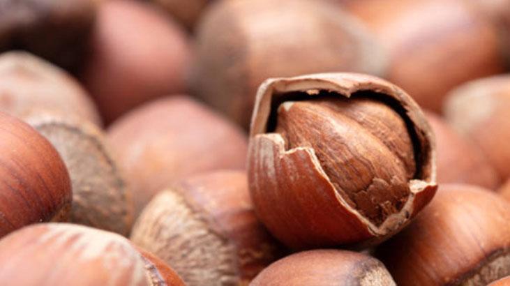 Kilolarca taze fındık böyle saklanır Tadı acı olmasın