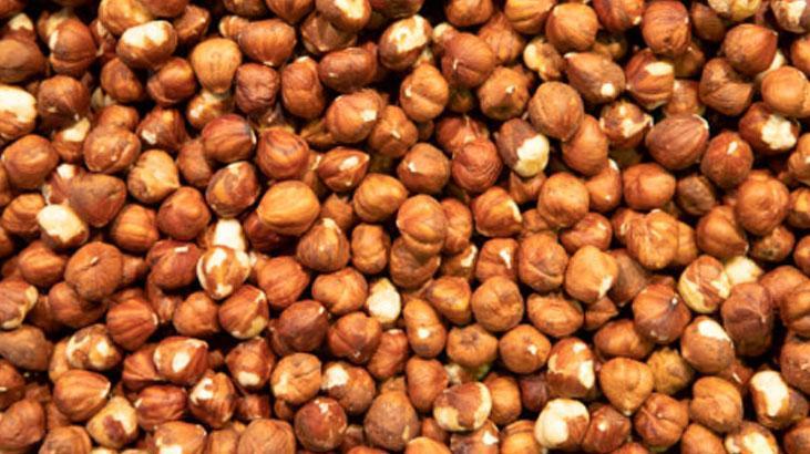 Kilolarca taze fındık böyle saklanır Tadı acı olmasın