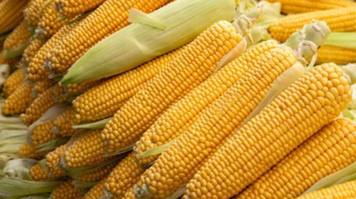 Akşam yemeğinin vazgeçilmezi olacak: Mısır çorbası 15 dakikada hazır