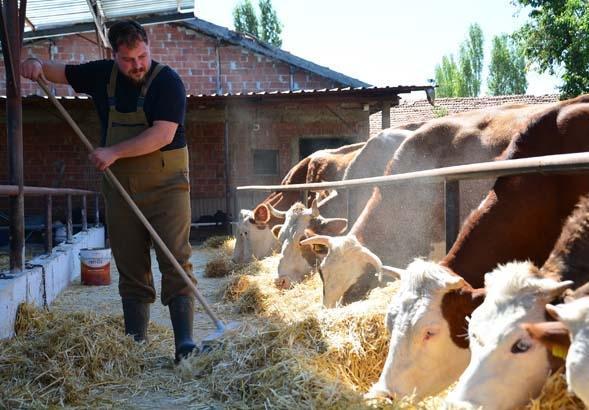 BEN HAYVAN BAKMAYA ODUNLUKTA, KÖMÜRLÜKTE BAŞLADIM