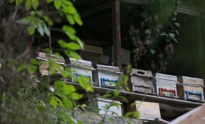 Sezon gelmeden bitiyor Kilosu 8 bin lira: Elimizde hiç kalmıyor, yok satıyoruz