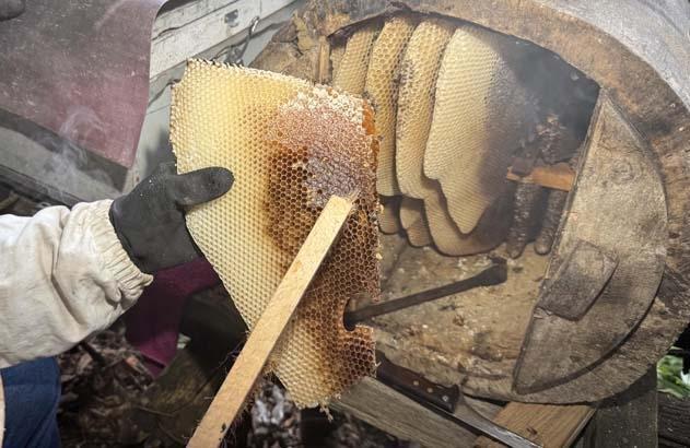 Sezon gelmeden bitiyor Kilosu 8 bin lira: Elimizde hiç kalmıyor, yok satıyoruz
