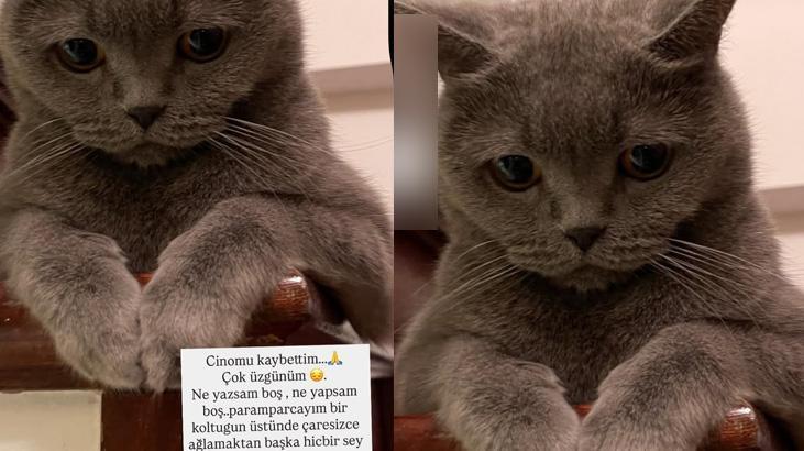Simge Sağın, kedisi Cino'nun mezarını ziyaret etti