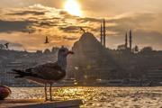 İstanbul İle İlgili Sözler 2025: İstanbul'un Anlatan En Güzel Ve En Anlamlı Sözler