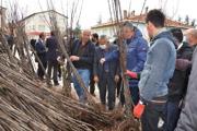 Harmancık'ta çiftçilere 6 bin adet ayva fidanı dağıtıldı