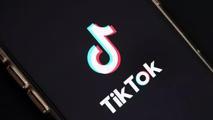 TikTok'tan Yüksek Mahkemeye 'yasak' başvurusu