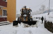 Trabzon'da 5 düzensiz göçmen yakalandı