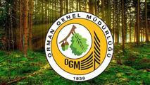 OGM 3477 SÖZLEŞMELİ PERSONEL ALIMI! Orman Genel Müdürlüğü 3.477 sözleşmeli destek personeli alımı başvuru şartları neler? Başvuru yeri ve istenilen belgeler...