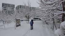 Bitlis'te kar yağışı; 80 köy yolu kapandı