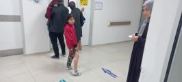 8 yaşındaki  Hatice, evlerinin önünde oynarken köpeğin saldırısına uğradı