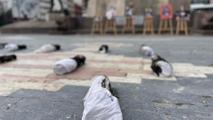 Ankara'da temsili kefene sarılmış bebekli protesto