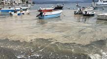 Kabus geri mi dönüyor? Marmara Denizi'nde korkutan görüntü