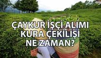ÇAYKUR İŞÇİ ALIMI kura çekimi ne zaman? ÇAYKUR işçi alımı başvuruları bitti mi? ÇAYKUR işçi alımı başvuru sonuçları ne zaman açıklanacak?