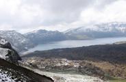 Bitlis'te sahipsiz hayvanları izleme ve denetim toplantısı yapıldı