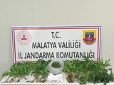 Malatya'da uyuşturucu operasyonunda 3 şüpheli tutuklandı